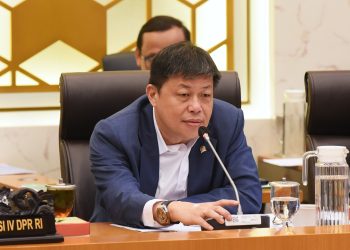 Komisi IV DPR Dorong Sawah Pokok Murah di Sumbar Jadi Pilar Ketahanan Pangan Nasional