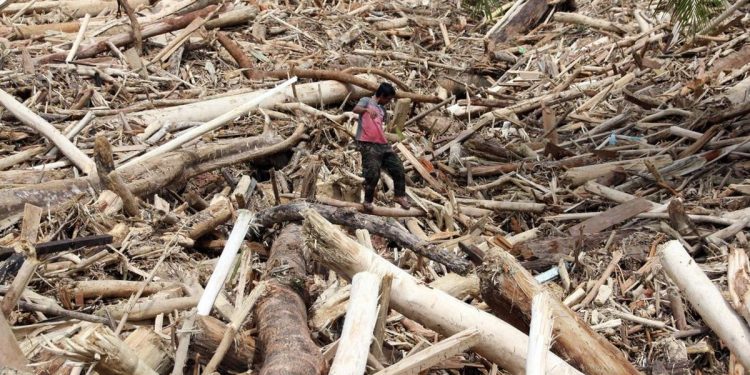 Bareskrim Usut Perusakan Hutan Penyebab Gelondongan Kayu Terbawa Banjir di Tapanuli