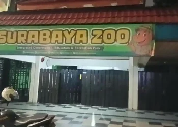 Kasus Dugaan Korupsi, Kejati Jatim Geledah Kebun Binatang Surabaya