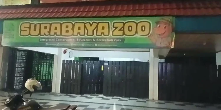 Kasus Dugaan Korupsi, Kejati Jatim Geledah Kebun Binatang Surabaya